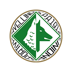 Avellino