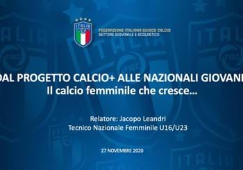 Webinar nell’ambito del calcio giovanile femminile dal titolo: “Dal progetto calcio+ Alle nazionali giovanili – Il calcio femminile che cresce…”