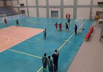 CST Calcio a 5: lunedì parte il programma di allenamento al Palazzetto dello Sport di Turi. Pubblicato elenco staff e calciatori