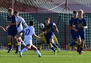 Un Campionato alla settimana: Under 15 Regionali 15
