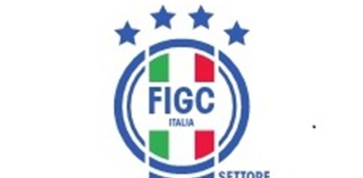 Utilizzo del logo federale
