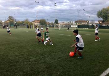 Verifica Partita: la Federazione in campo con i Pulcini