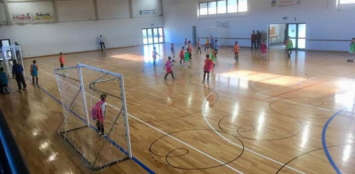 Nuova calendarizzazione dei Raggruppamenti Piccoli Amici e Primi Calci c5