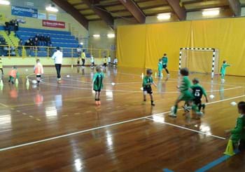 Raggruppamenti della fase primaverile dei piccoli amici e primi calci di c5.