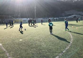 Torneo Pulcini Grassroots Evolution